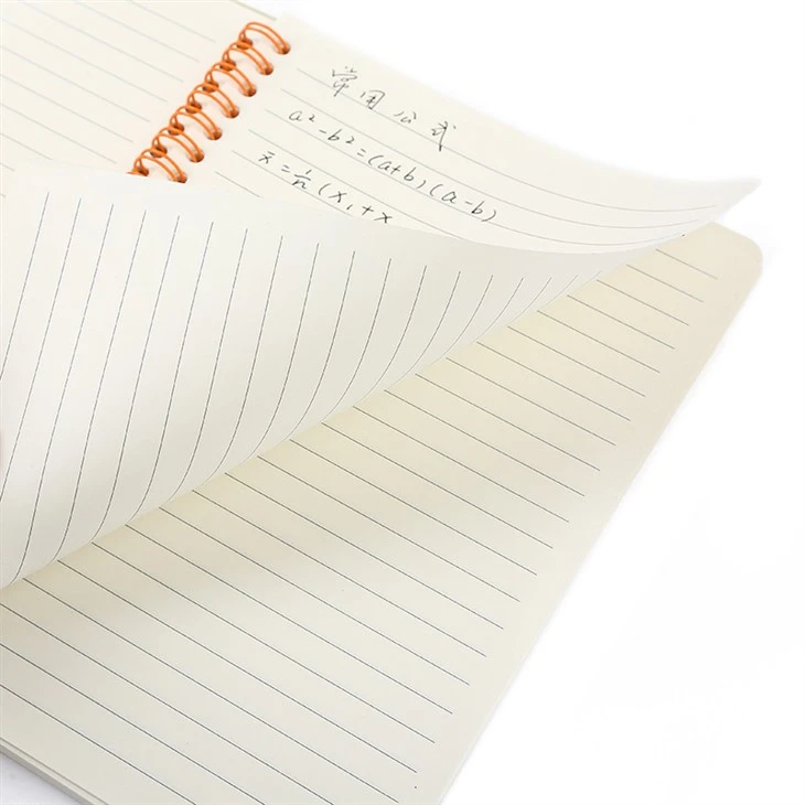 Bulk Notebook